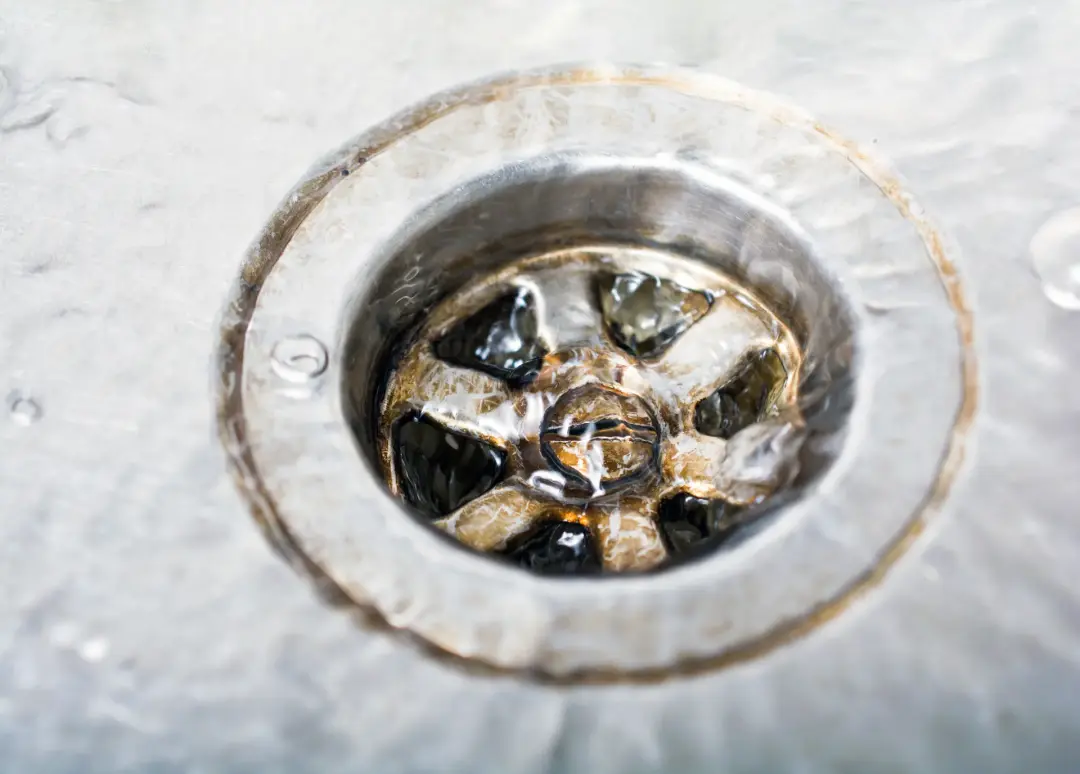 When to Call an Expert for Your Blocked Drain When to Call an Expert for Your Blocked Drain Image