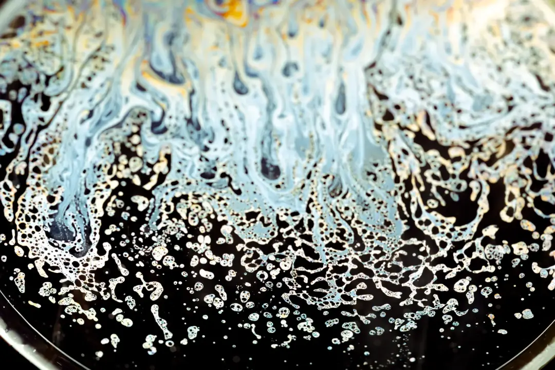Tips to Preventing Future Blockages Tips to Preventing Future Blockages Image